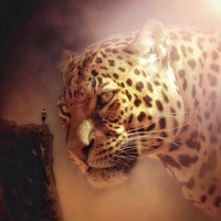 Leo Pard