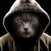 Егор Ткачев