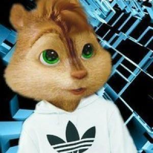 Korniyk