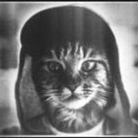 Миша Фролов