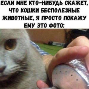 romakot000