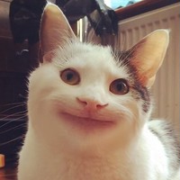 Игорь Онегов