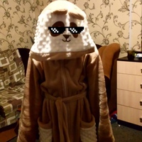 Влад Гирлин