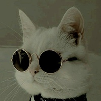 Костя Рыбачук