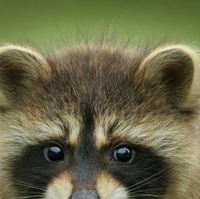 Татьяна Егорова