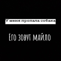 Егор Виноградов