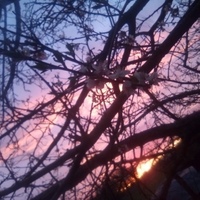 Виталик Рышков