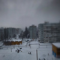 Максим Максимов(1)