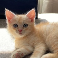 Юлька Шаталова