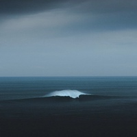 Евгений Котов