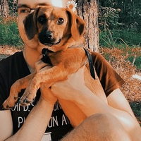 Никита Новиков