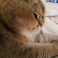 Серега Поляков