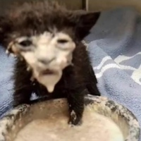 Кирилл Валько