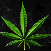 Александр Прохоцкий