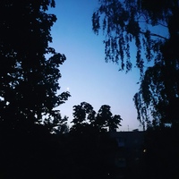 Виталий Горбатенко