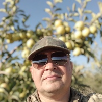 Алексей Александрович