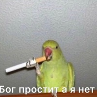 Саша Дищенко