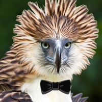 Егор Приставка