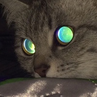 Евгений Павлов