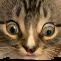 Андрей Мирный