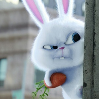 Дима Мирошниченко