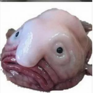 Андрей Решетников