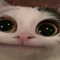 Максим Айбратоков