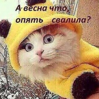 Александр Майоров
