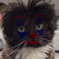 Марсель Мустафин