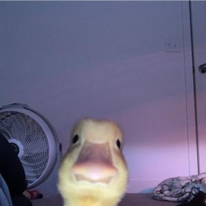 Даниил