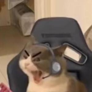 Panikaaaaaa
