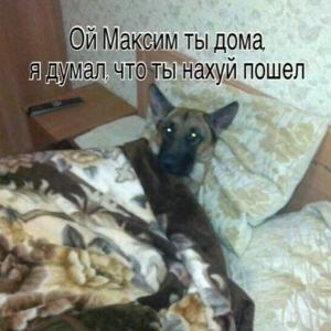можна мне живач