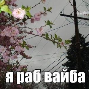 ложка