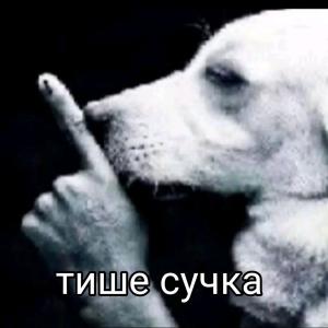 экстрептиза