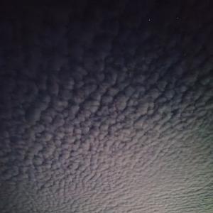 RUBITNET