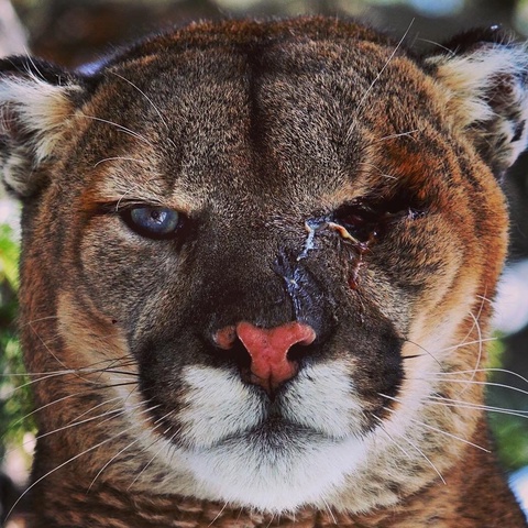 Артём Бекузаров