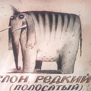 Энцо Молинари