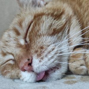 Katarzyna