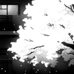Kouka