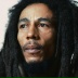 Bob Marley(1)